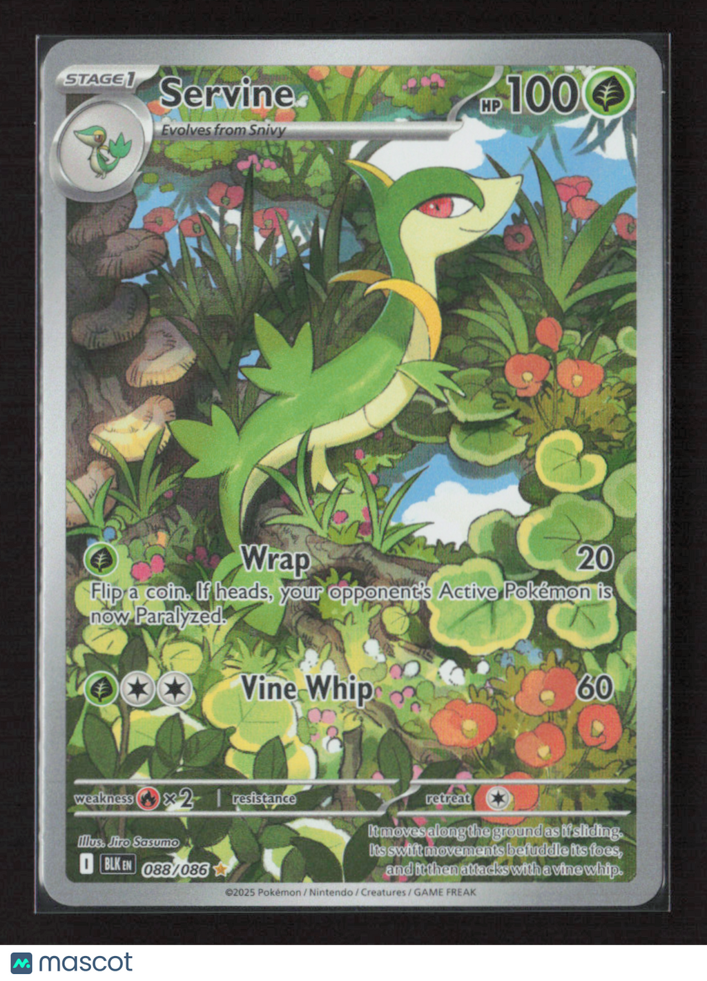 2025 Pokemon Servine - 088/086 #088/086 Illustration Rare