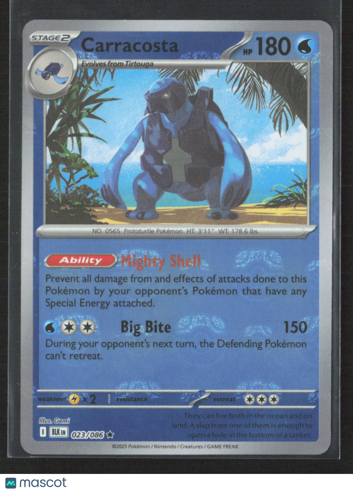 2025 Pokemon Carracosta #23/86