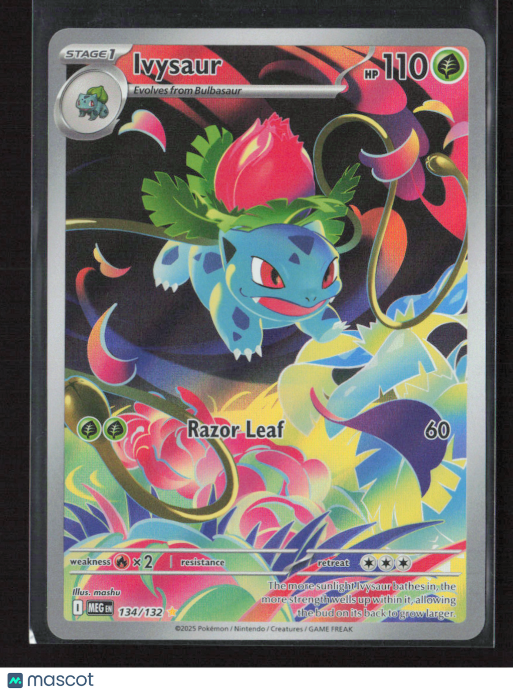 2025 Pokemon Ivysaur - 134/132 #134/132 Illustration Rare