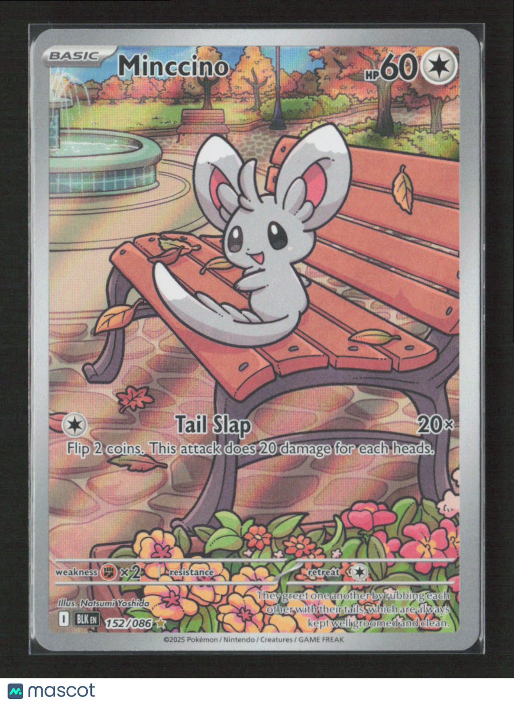 2025 Pokemon Minccino - 152/086 #152/086 Illustration Rare