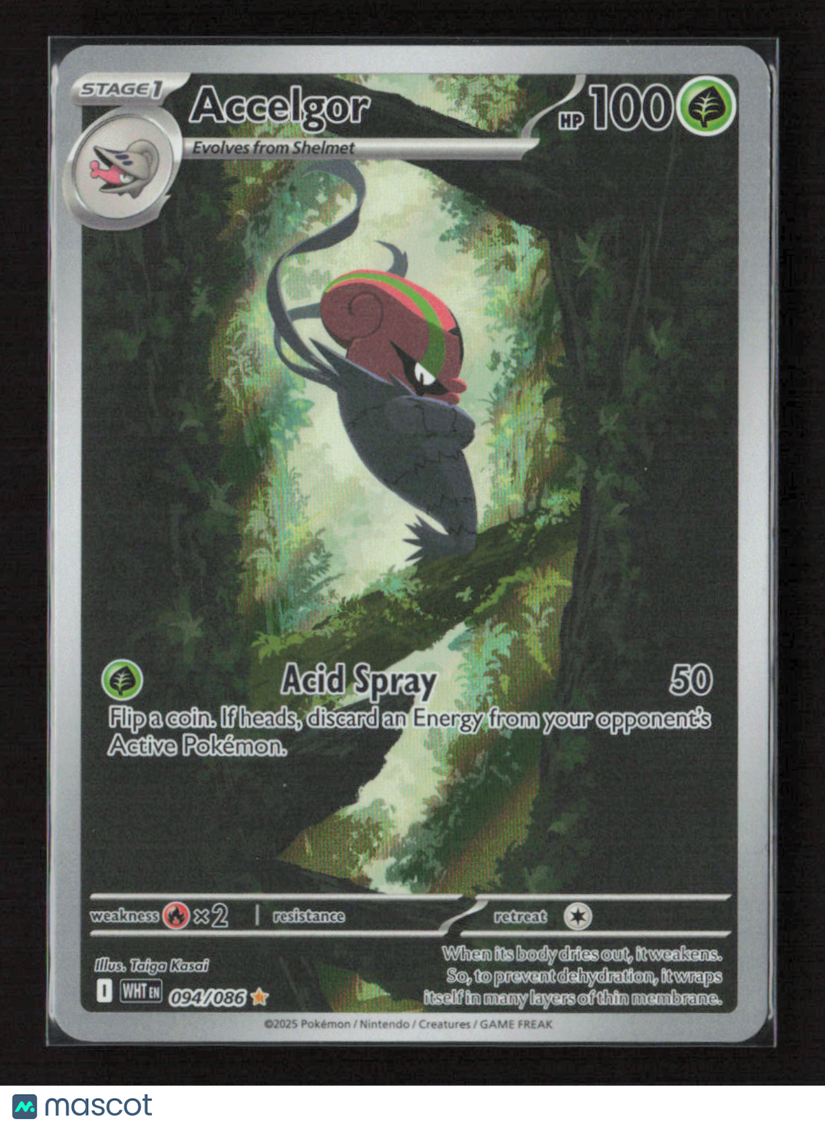 2025 Pokemon Accelgor - 094/086 #094/086 Illustration Rare