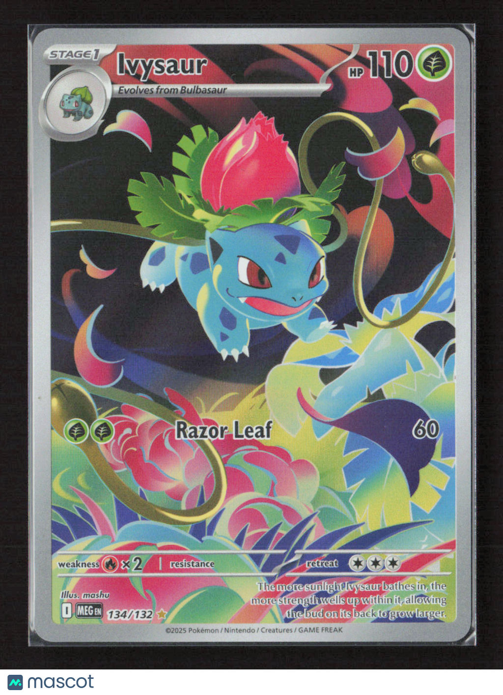 2025 Pokemon Ivysaur - 134/132 #134/132 Illustration Rare