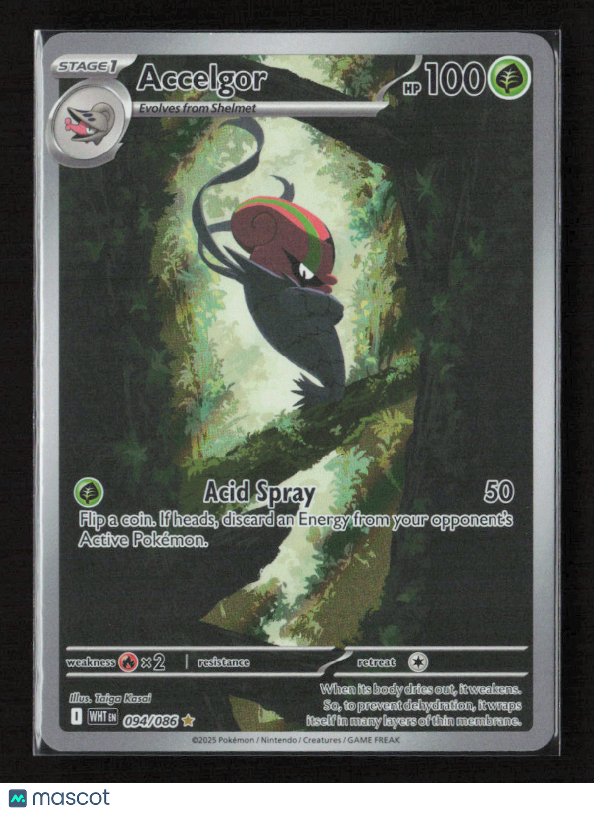2025 Pokemon Accelgor - 094/086 #094/086 Illustration Rare