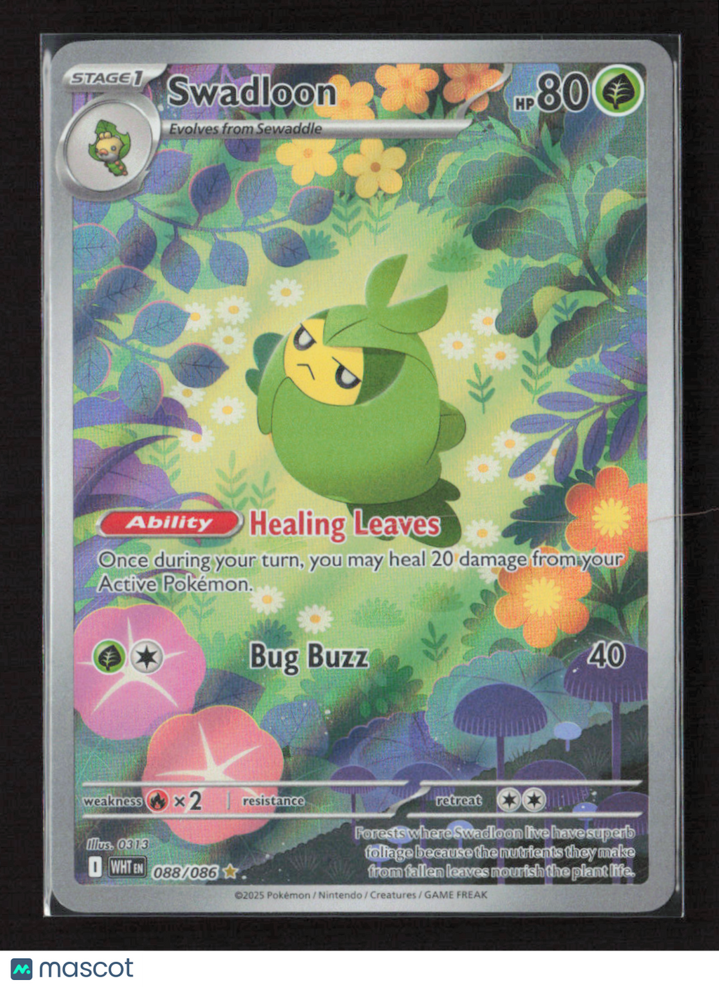 2025 Pokemon Swadloon - 088/086 #088/086 Illustration Rare