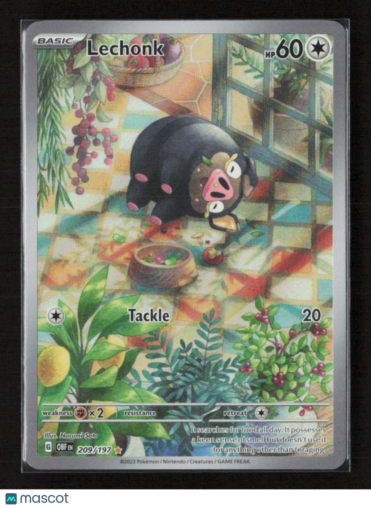 2023 Pokemon Lechonk - 209/197 #209/197 Illustration Rare