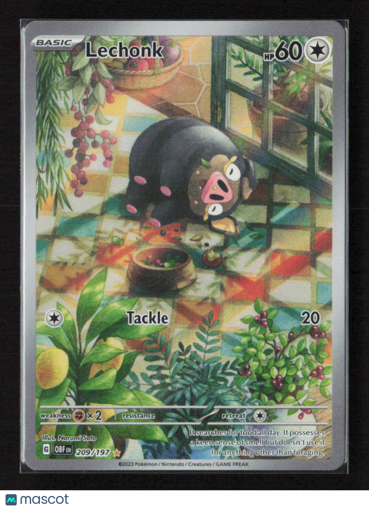 2023 Pokemon Lechonk - 209/197 #209/197 Illustration Rare