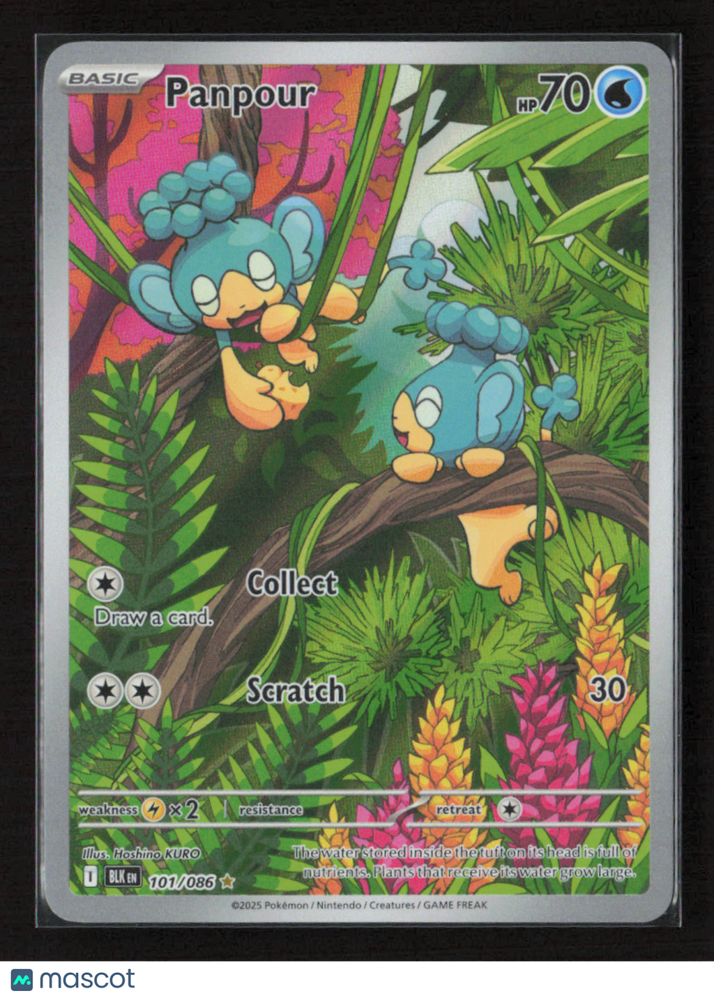 2025 Pokemon Panpour - 101/086 #101/086 Illustration Rare