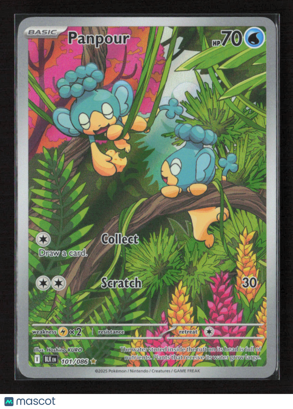 2025 Pokemon Panpour - 101/086 #101/086 Illustration Rare