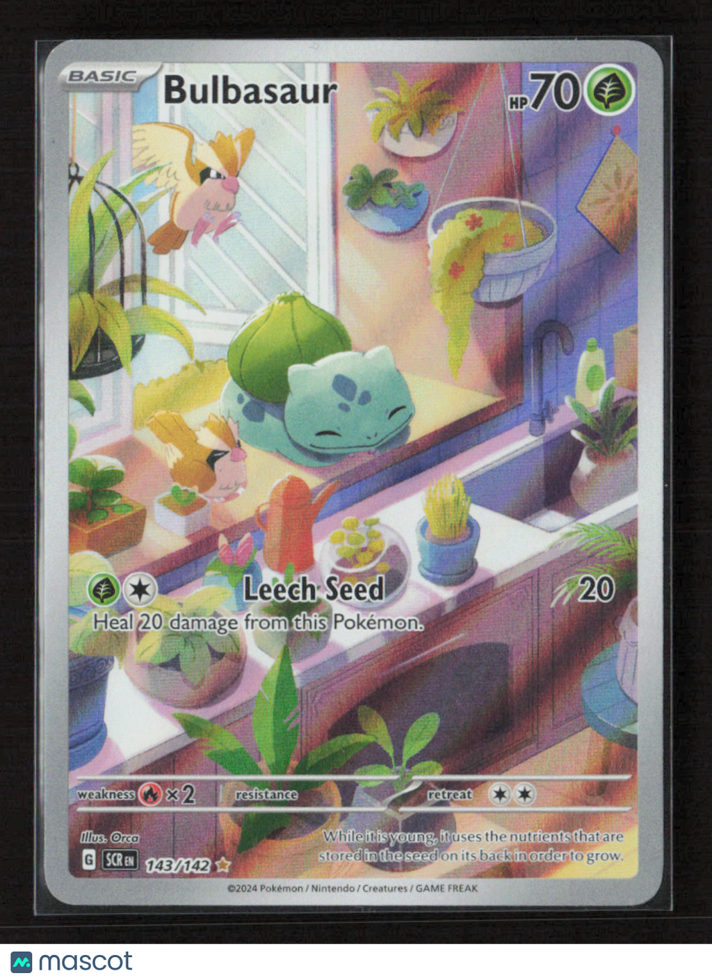 2024 Pokemon Bulbasaur #143/142 Illustration Rare