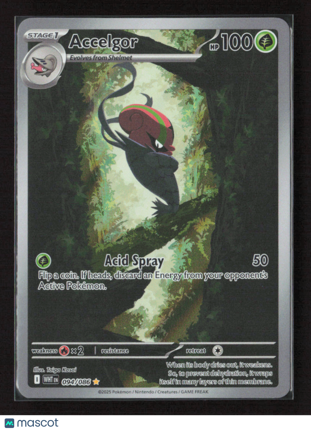 2025 Pokemon Accelgor - 094/086 #094/086 Illustration Rare