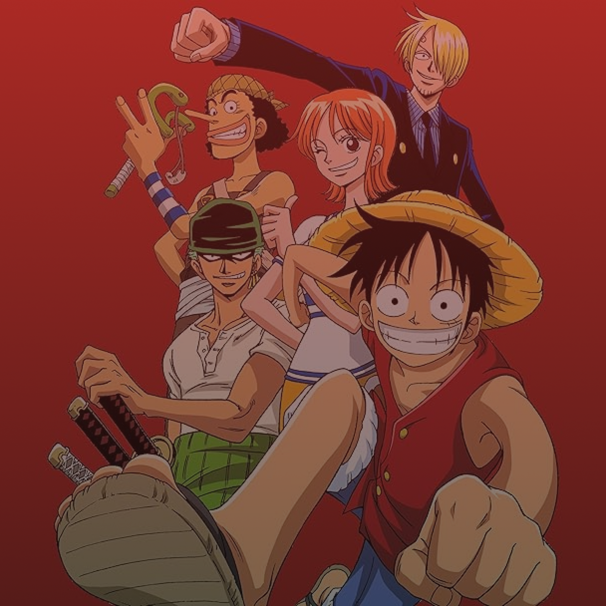 One Piece Sacks