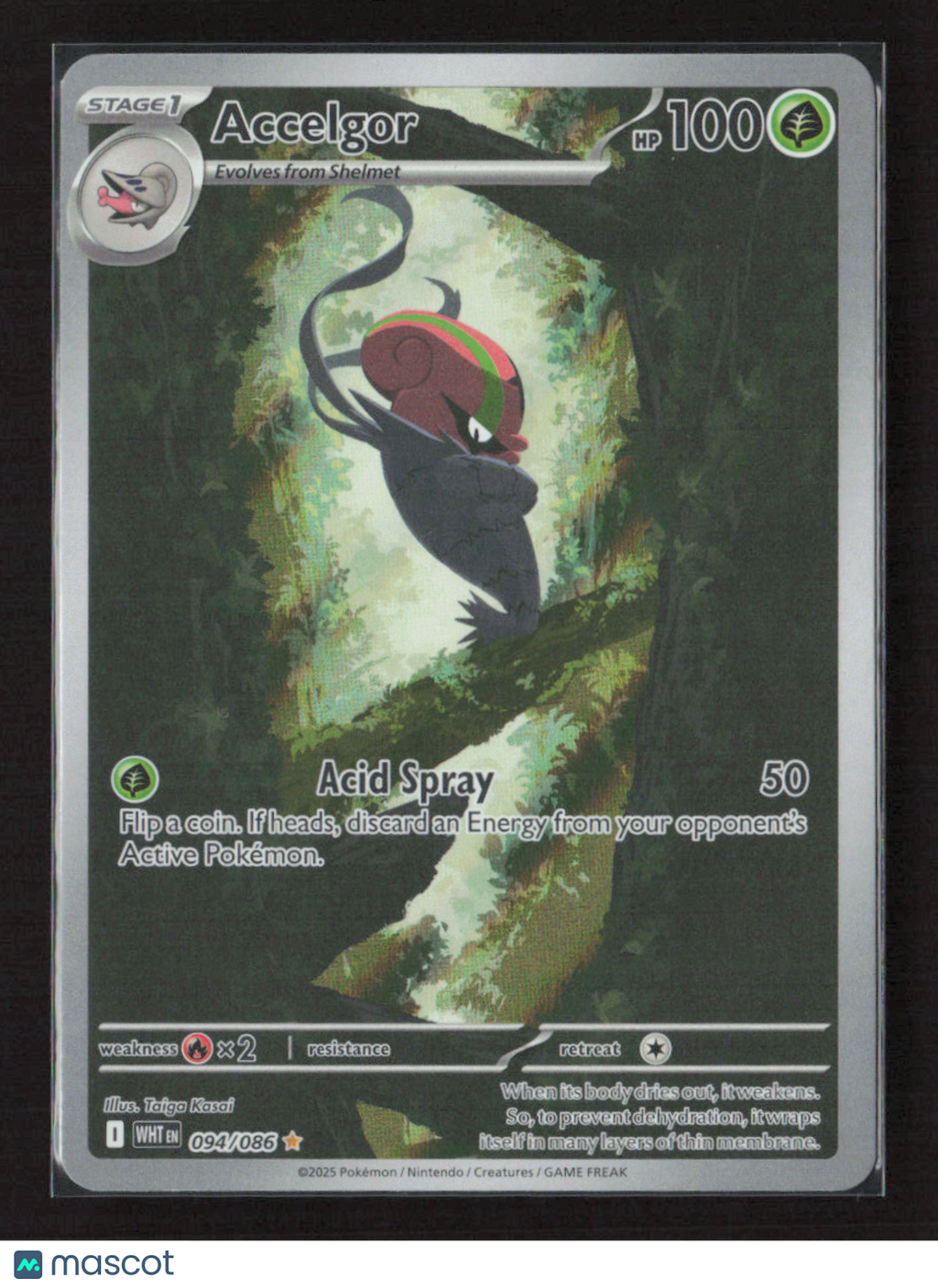 2025 Pokemon Accelgor - 094/086 #094/086 Illustration Rare