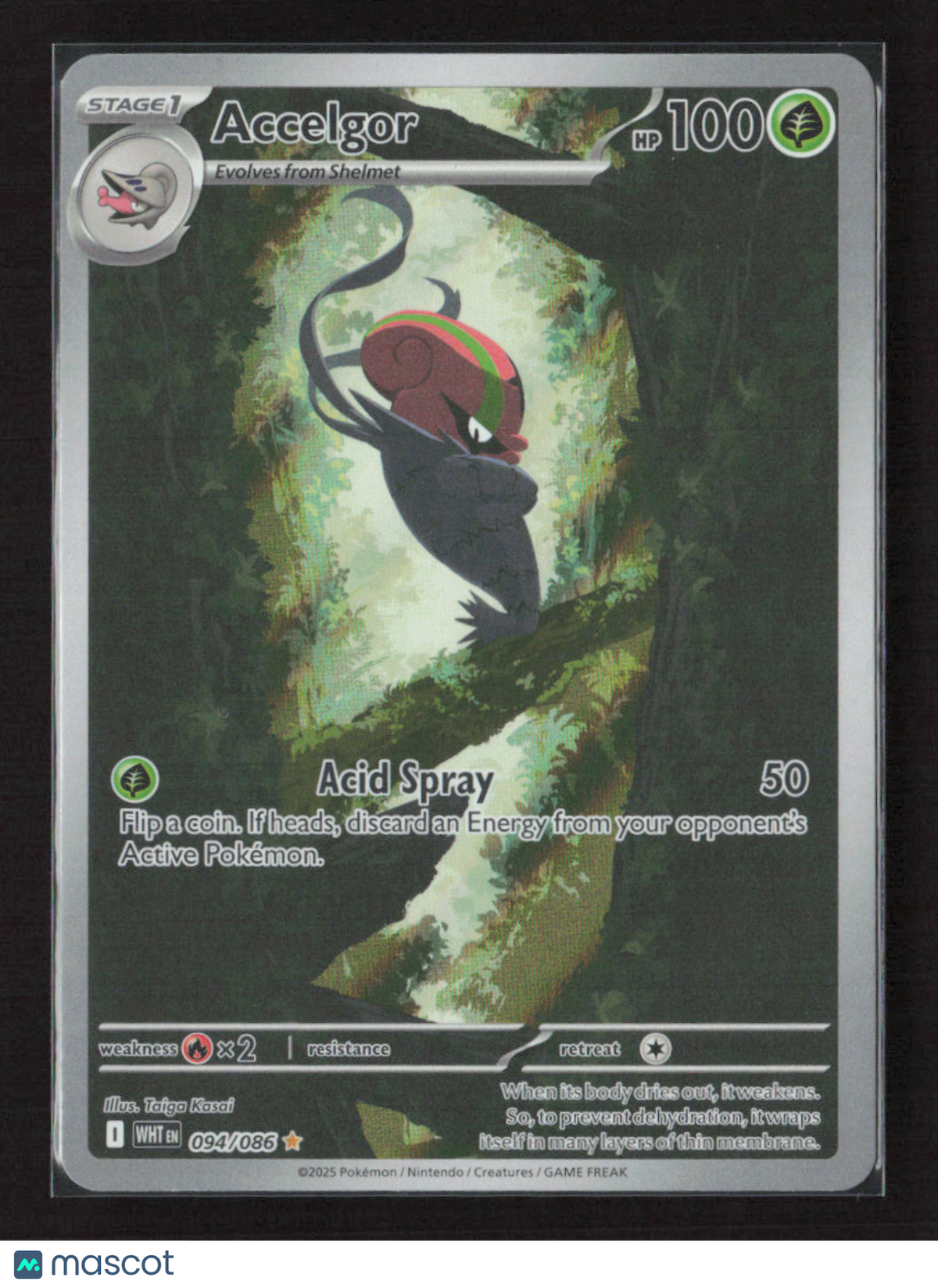 2025 Pokemon Accelgor - 094/086 #094/086 Illustration Rare