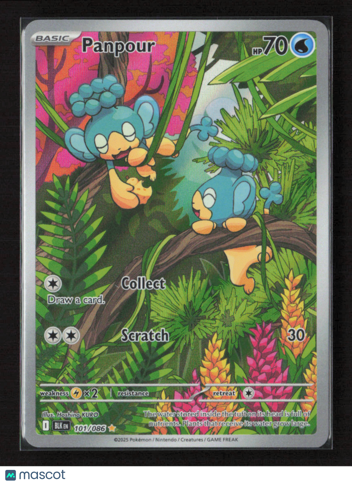 2025 Pokemon Panpour - 101/086 #101/086 Illustration Rare
