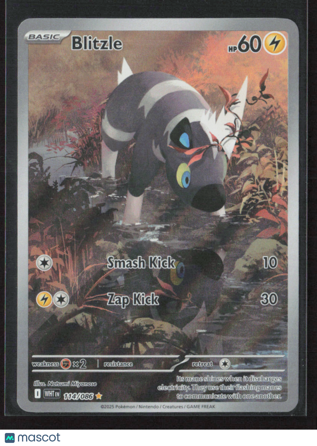 2025 Pokemon Blitzle - 114/086 #114/086 Illustration Rare
