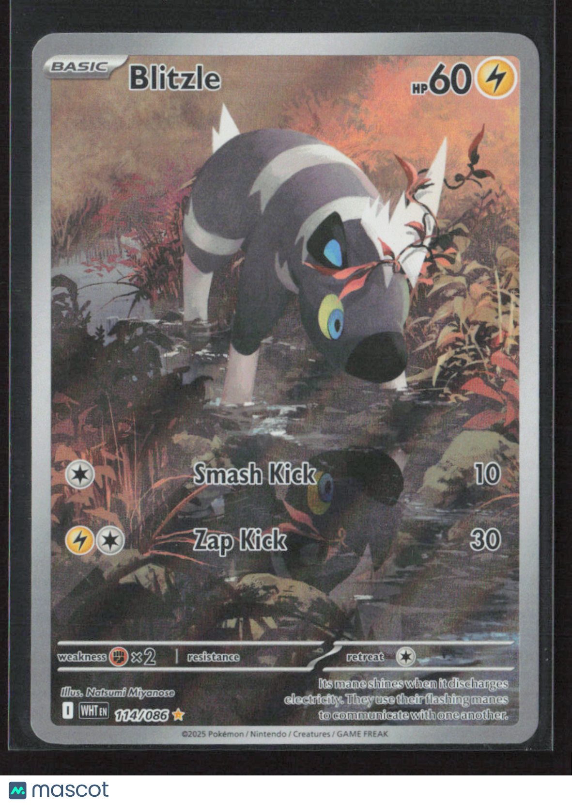 2025 Pokemon Blitzle - 114/086 #114/086 Illustration Rare