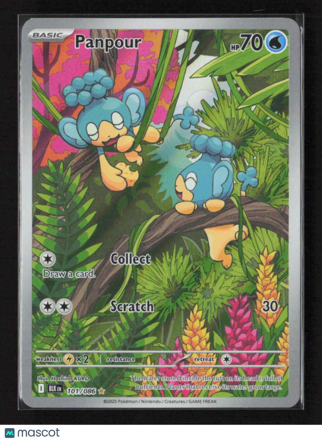 2025 Pokemon Panpour - 101/086 #101/086 Illustration Rare