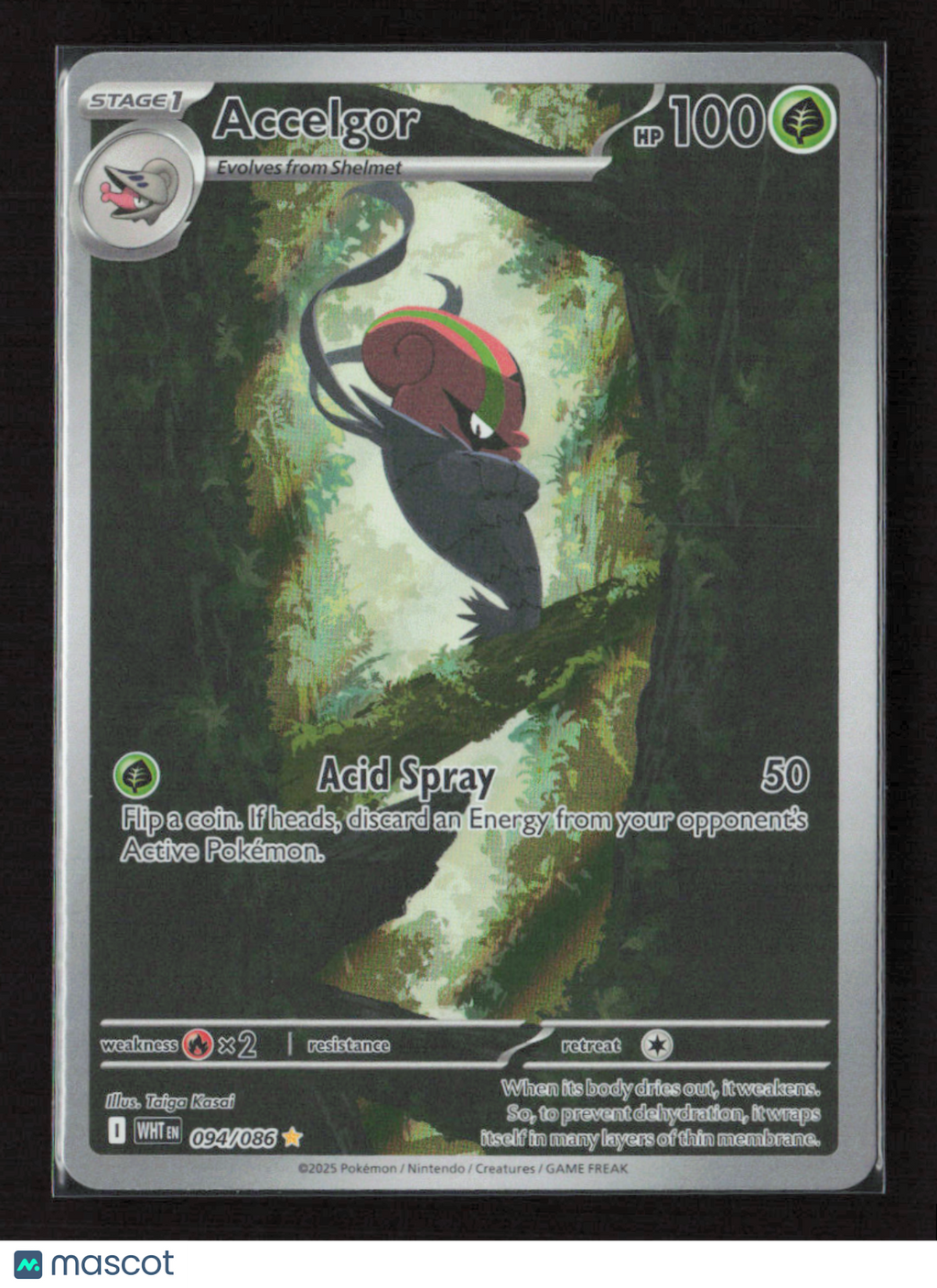 2025 Pokemon Accelgor - 094/086 #094/086 Illustration Rare