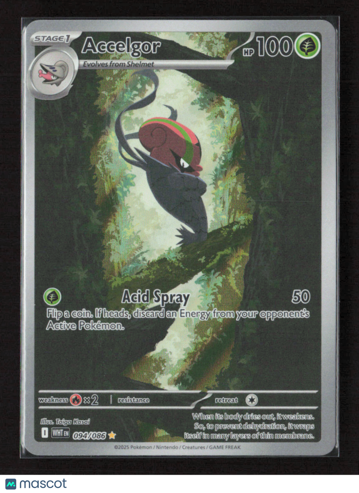 2025 Pokemon Accelgor - 094/086 #094/086 Illustration Rare
