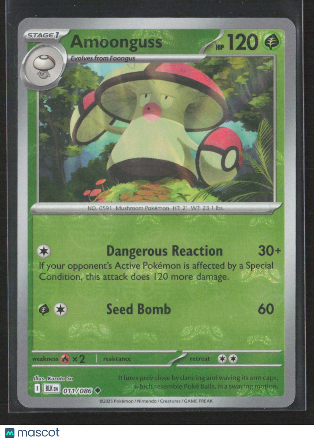 2025 Pokemon Amoonguss #11/86