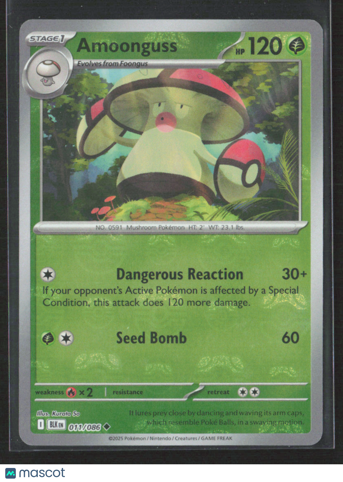 2025 Pokemon Amoonguss #11/86