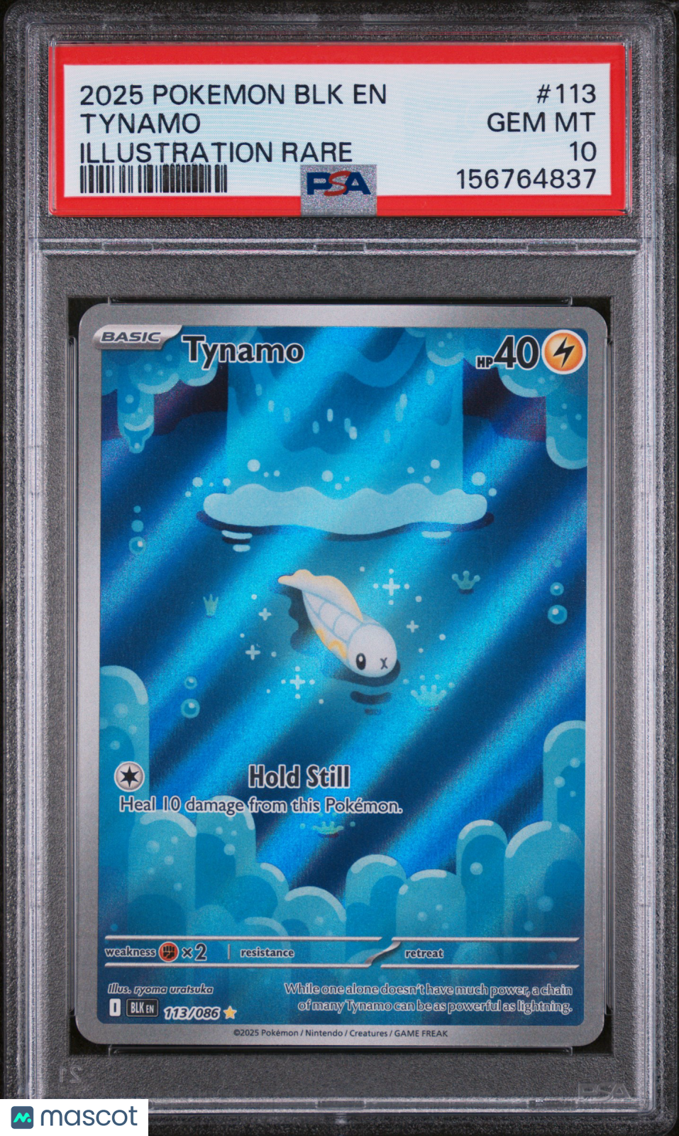 2025 Pokemon BLK EN-Black Bolt Tynamo #113 Illustration Rare PSA 10