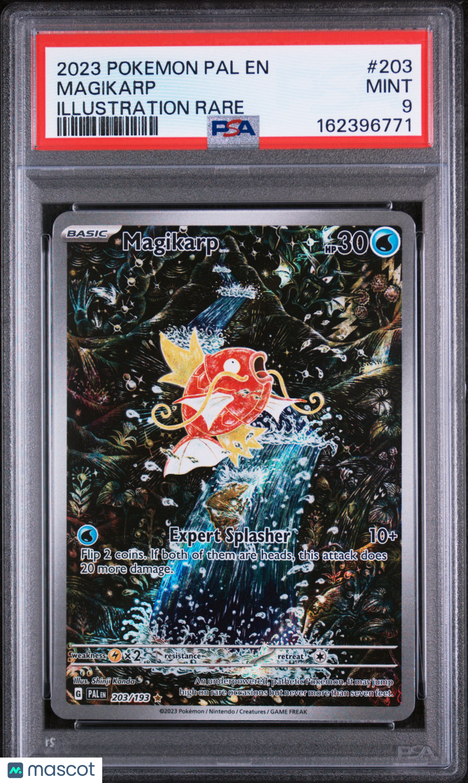 2023 Pokemon Pal EN-Paldea Evolved Magikarp #203 Illustration Rare PSA 9
