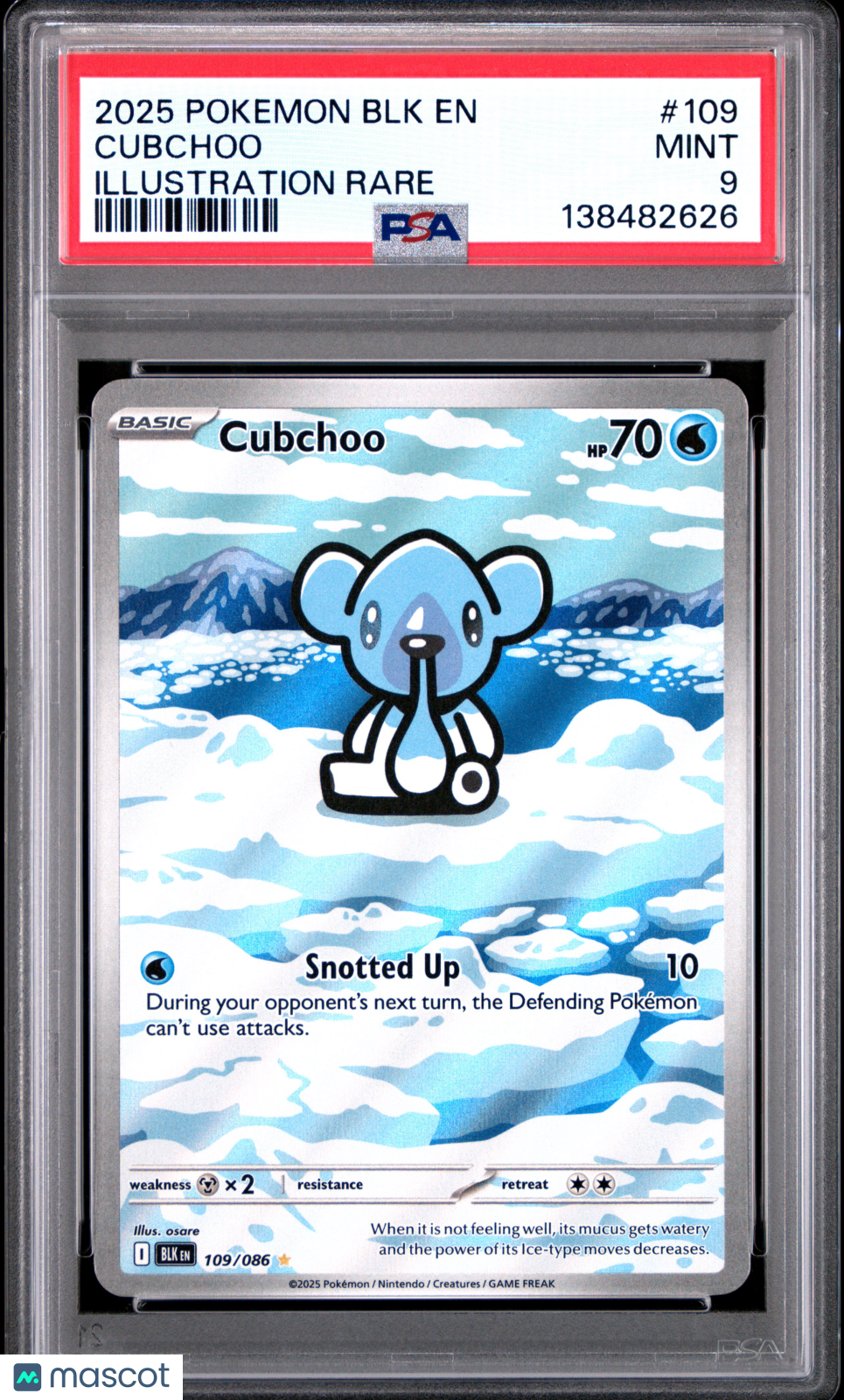 2025 Pokemon BLK EN-Black Bolt Cubchoo #109 Illustration Rare PSA 9
