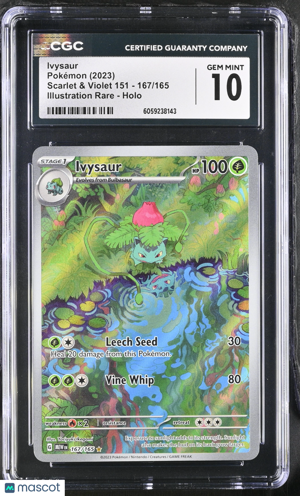 2023 Pokemon Ivysaur #167/165 Illustration Rare CGC 10