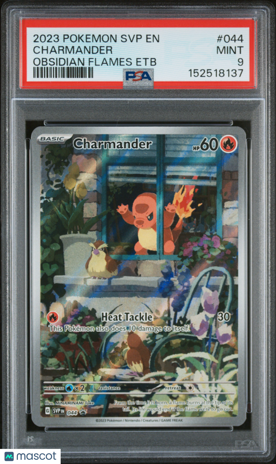 2023 Pokemon SVP EN-SV Black Star Promo Charmander #044 Obsidian Flames Etb PSA 9