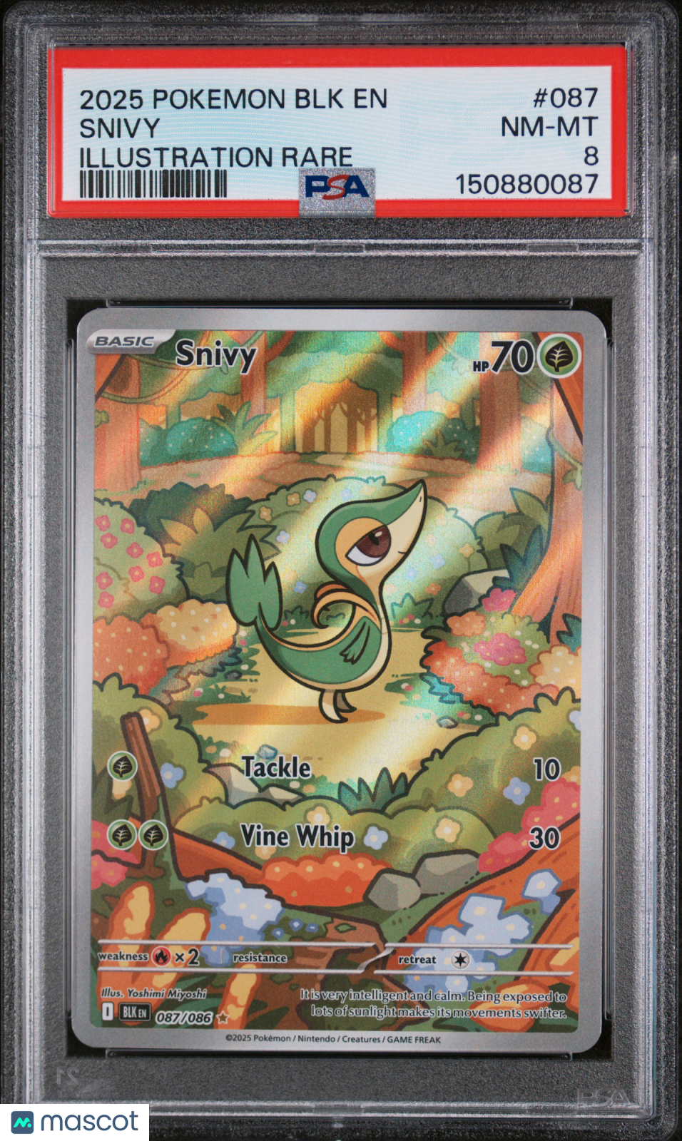 2025 Pokemon BLK EN-Black Bolt Snivy #087 Illustration Rare PSA 8