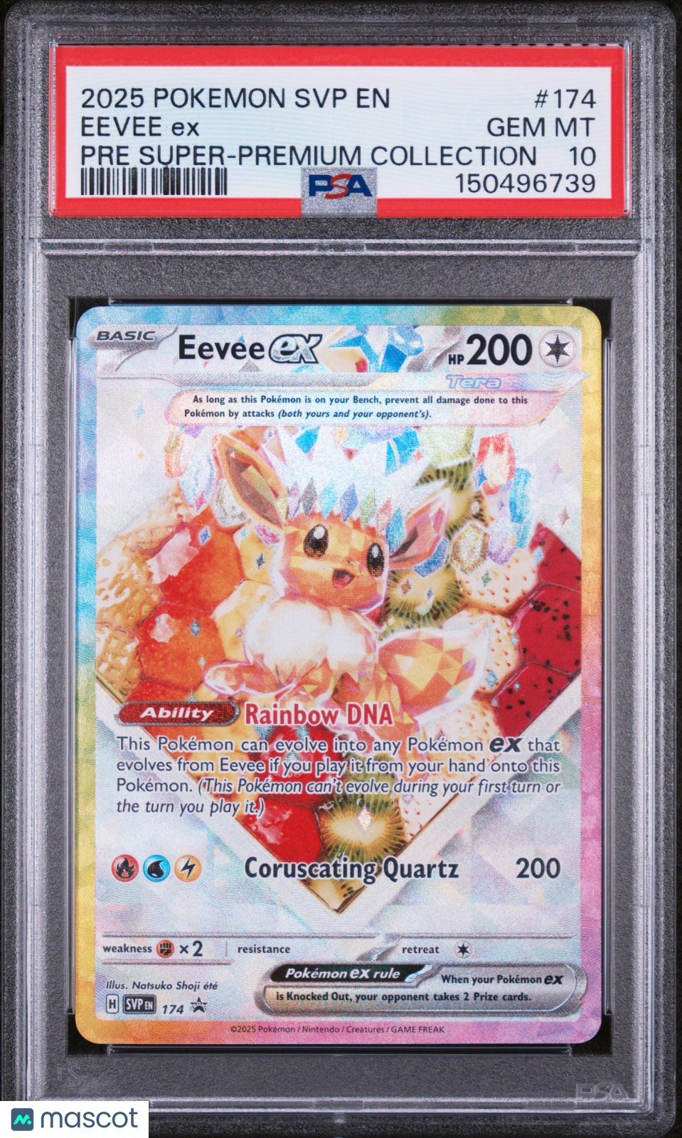 2025 Pokemon SVP EN-SV Black Star Promo Eevee EX #174 Pre Super-Premium Collection PSA 10