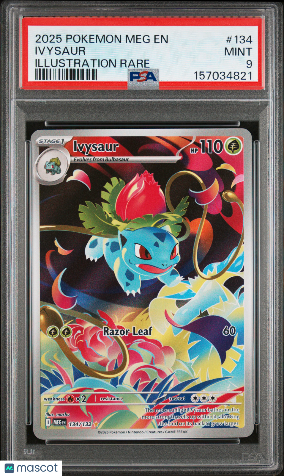 2025 Pokemon Meg EN-Mega Evolution Ivysaur #134 Illustration Rare PSA 9
