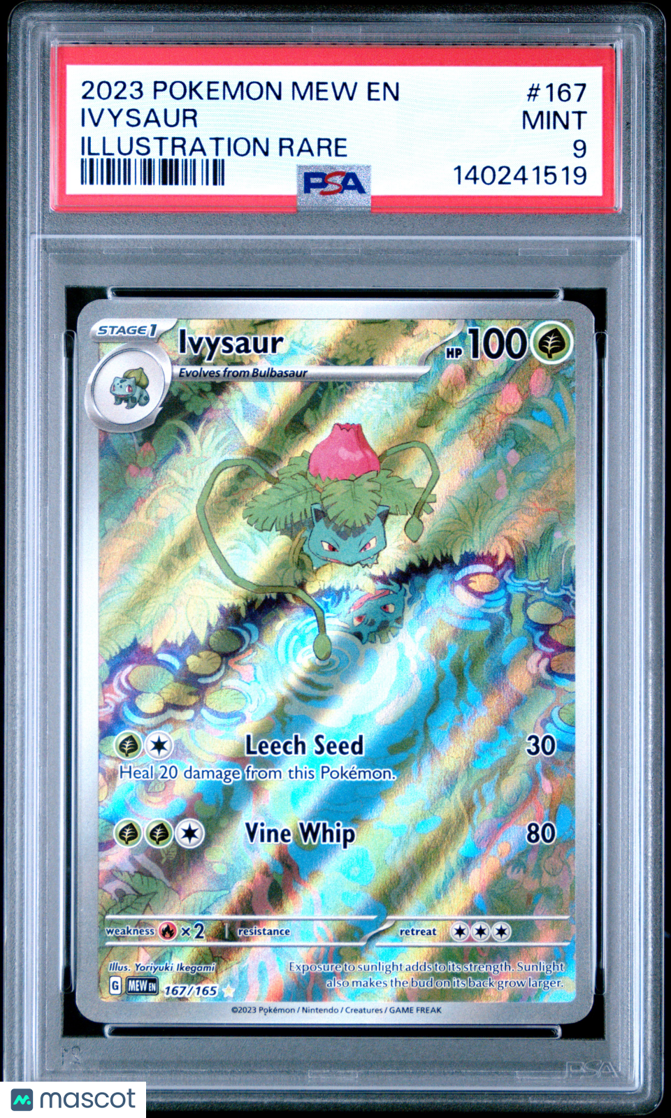 2023 Pokemon Mew EN-151 Ivysaur #167 Illustration Rare PSA 9