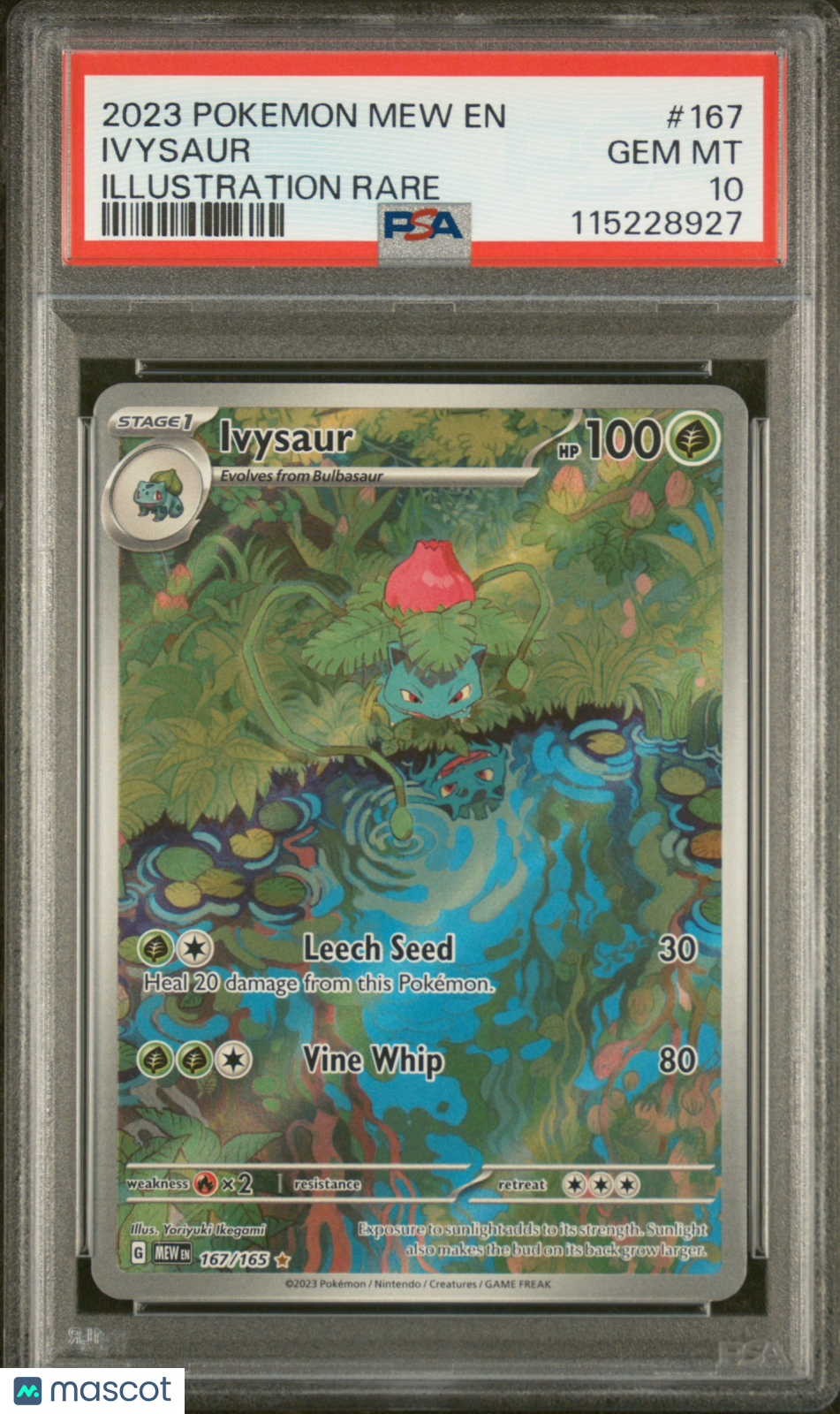 2023 Pokemon Mew EN-151 Ivysaur #167 Illustration Rare PSA 10