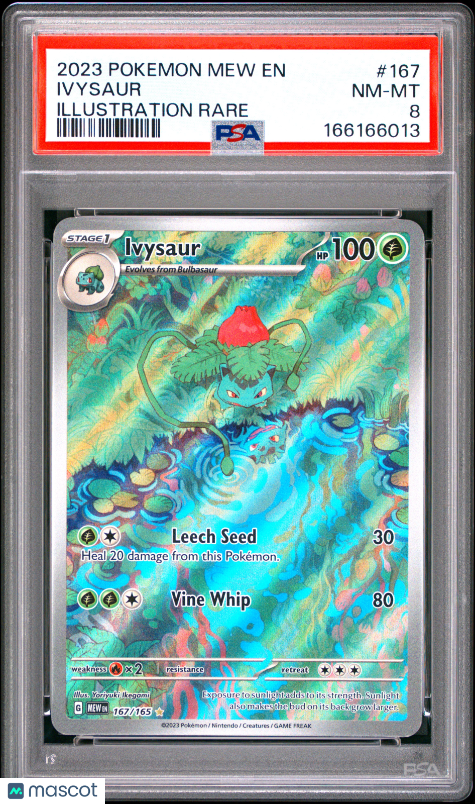 2023 Pokemon Mew EN-151 Ivysaur #167 Illustration Rare PSA 8