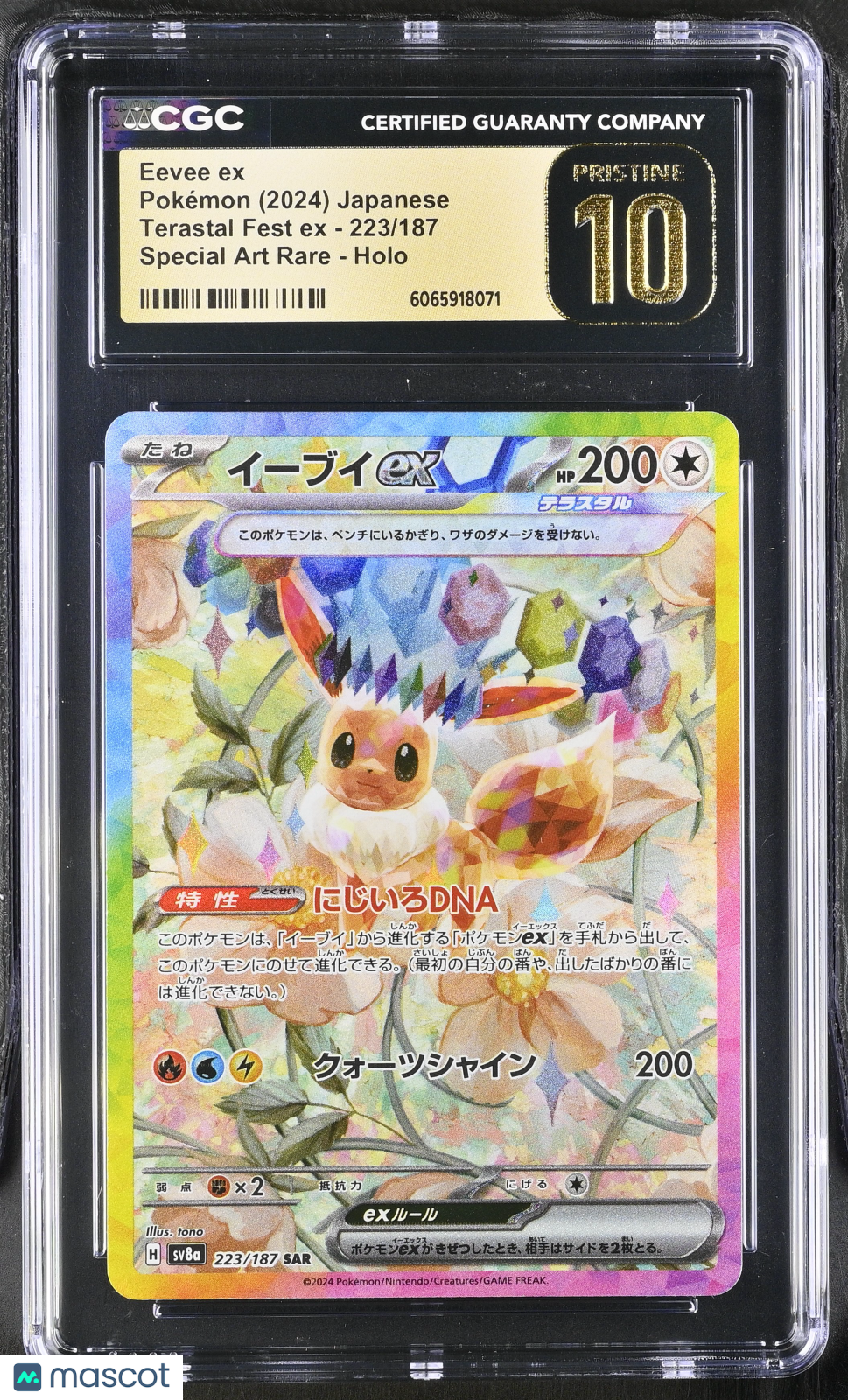 2024 Pokemon Eevee ex #223/187 Japanese Special Art Rare CGC 10