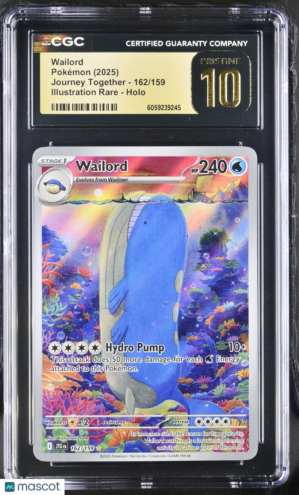 2025 Pokemon Wailord #162/159 Illustration Rare CGC 10