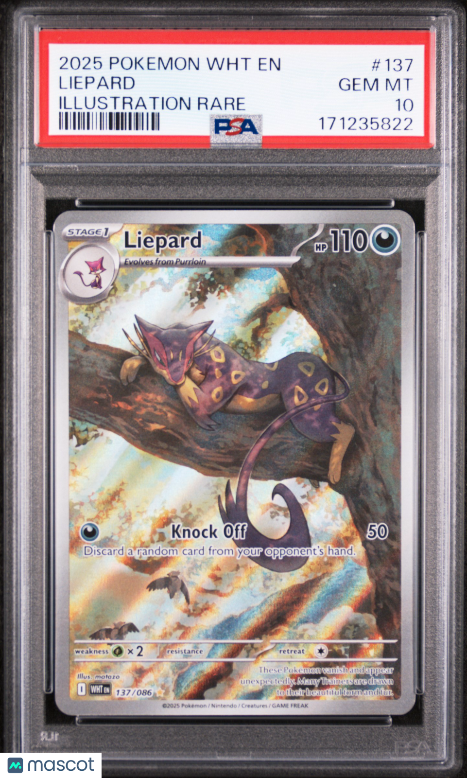 2025 Pokemon WHT EN-White Flare Liepard #137 Illustration Rare PSA 10