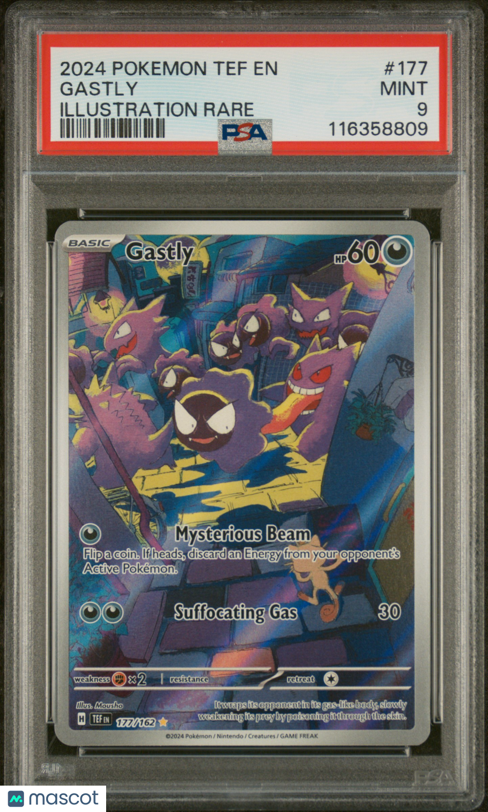 2024 Pokemon Tef EN-Temporal Forces Gastly #177 Illustration Rare PSA 9