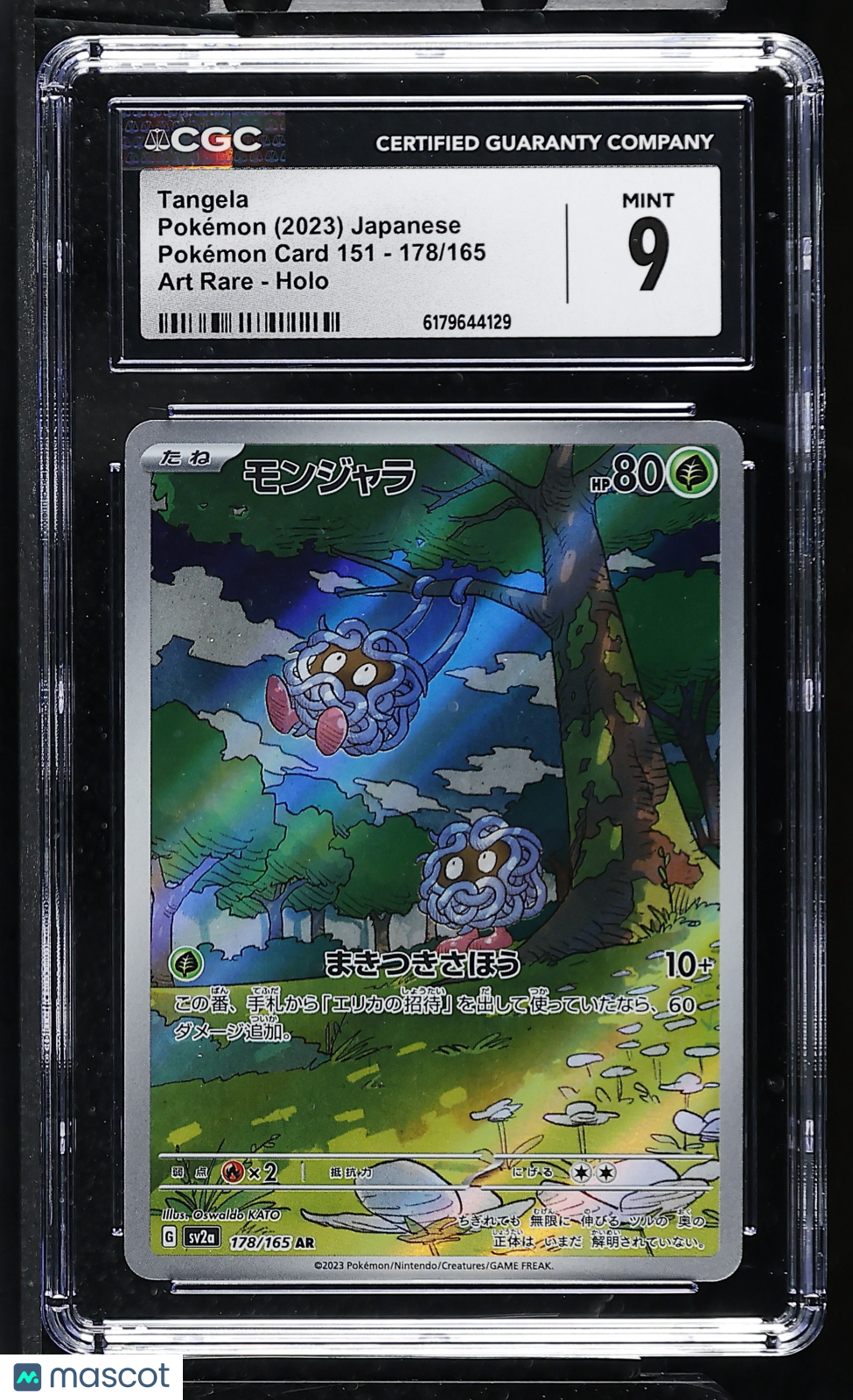 2023 Pokemon Tangela #178/165 Japanese Art Rare CGC 9
