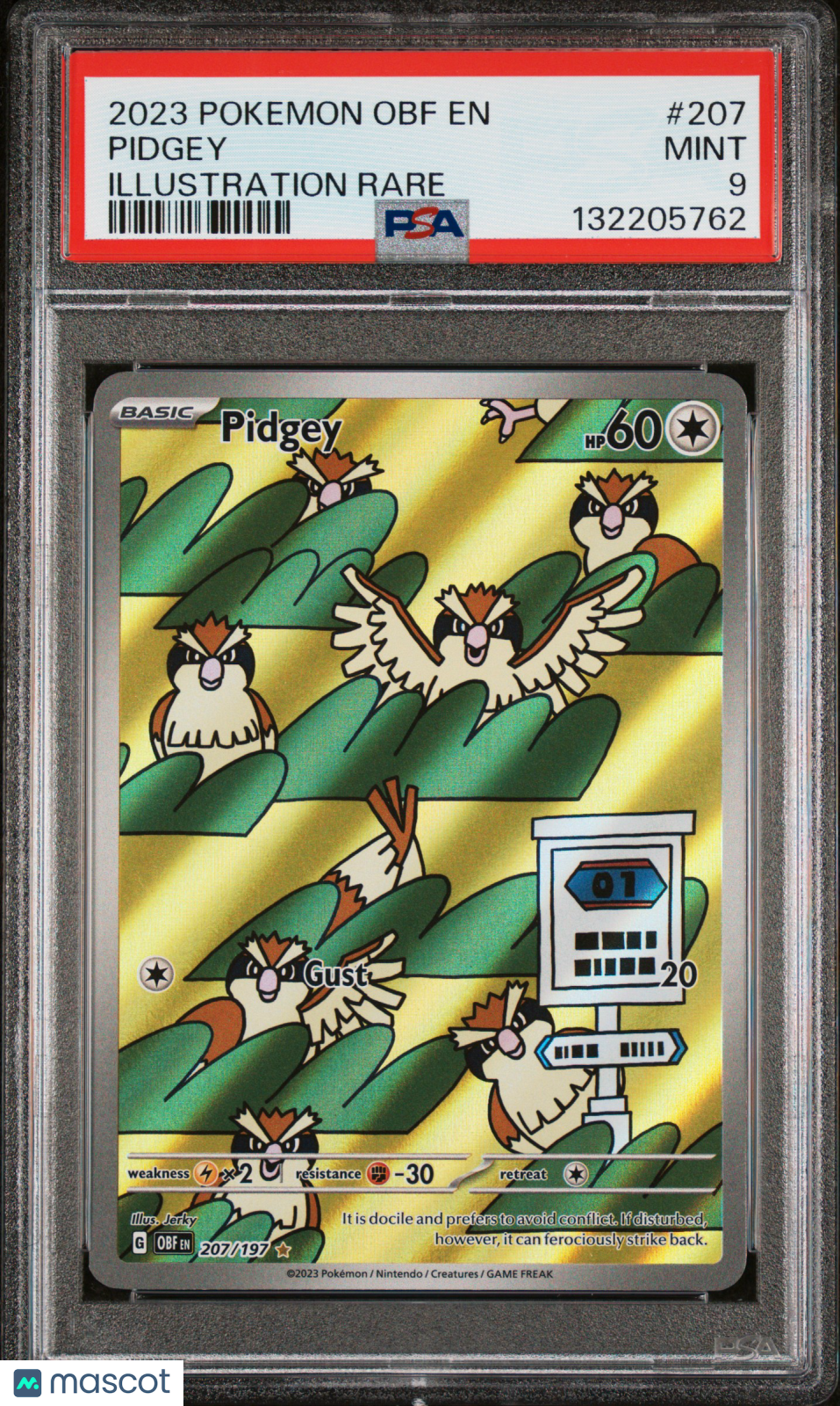 2023 Pokemon Obf EN-Obsidian Flames Pidgey #207 Illustration Rare PSA 9