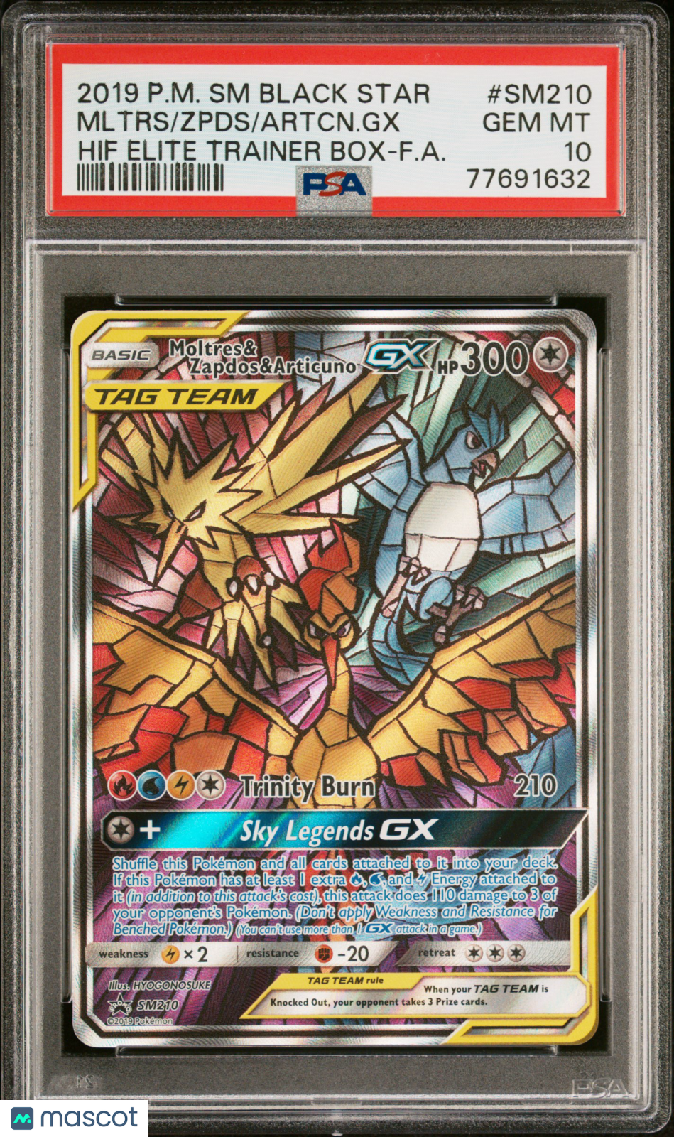 2019 Pokemon SM Black Star Promo Artcn. GX Zpds Mltrs #SM210 Hif Elite Trainer Box-F.A. PSA 10