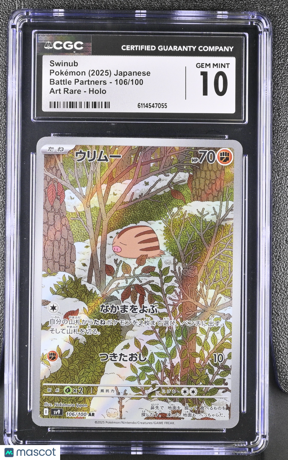 2025 Pokemon Swinub #106/100 Japanese Art Rare CGC 10
