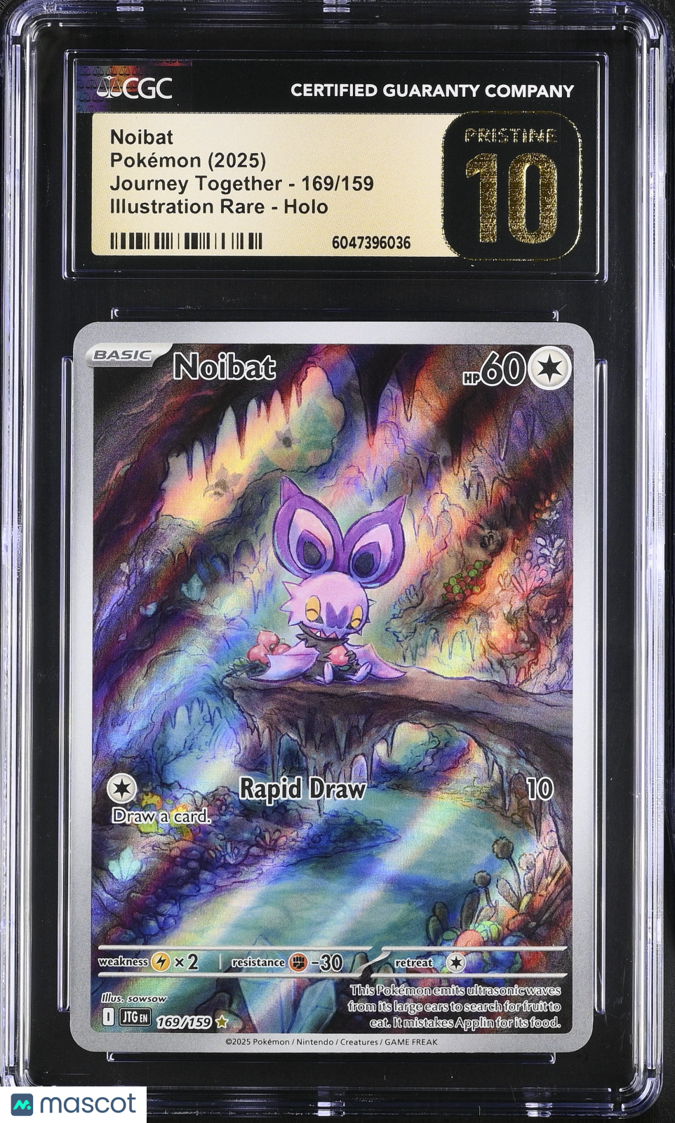 2025 Pokemon Journey Together Noibat Holo Illustration Rare CGC 10 #169/159