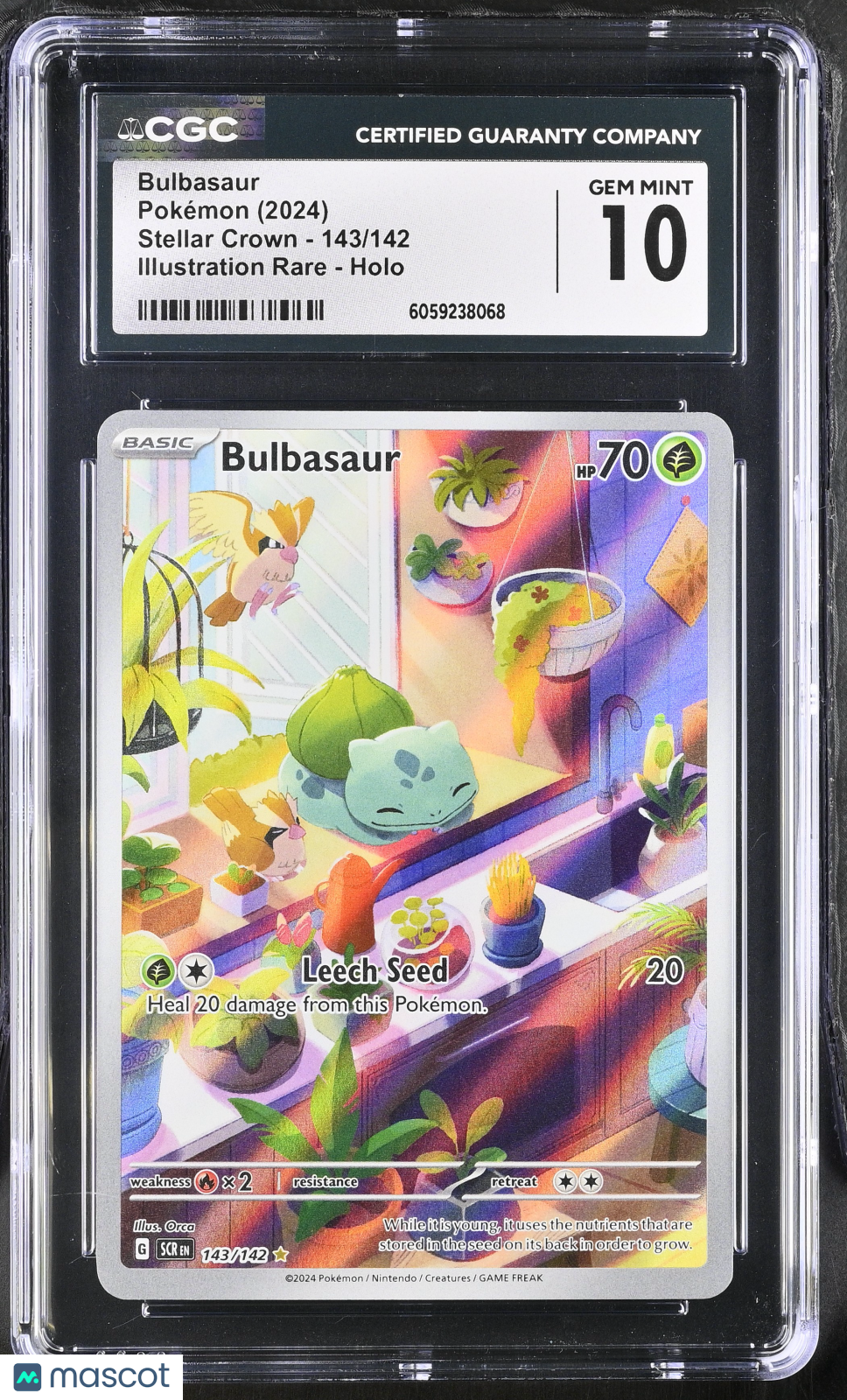 2024 Pokemon Bulbasaur #143/142 Illustration Rare CGC 10