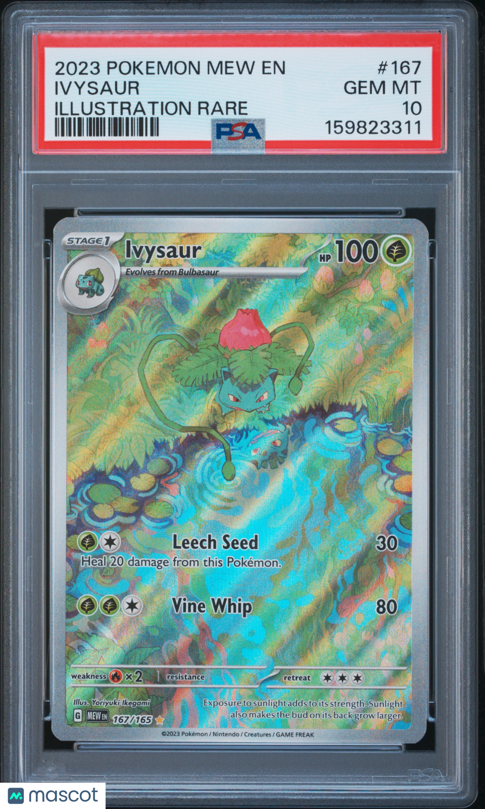 2023 Pokemon Mew EN-151 Ivysaur #167 Illustration Rare PSA 10