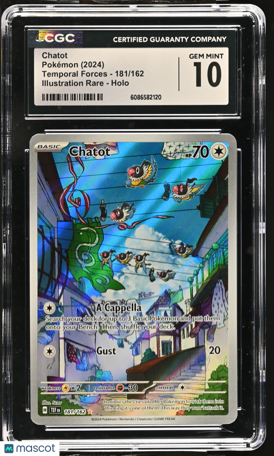 2024 Pokemon Chatot #181/162 Illustration Rare CGC 10