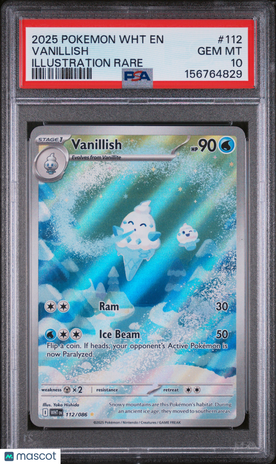2025 Pokemon WHT EN-White Flare Vanillish #112 Illustration Rare PSA 10