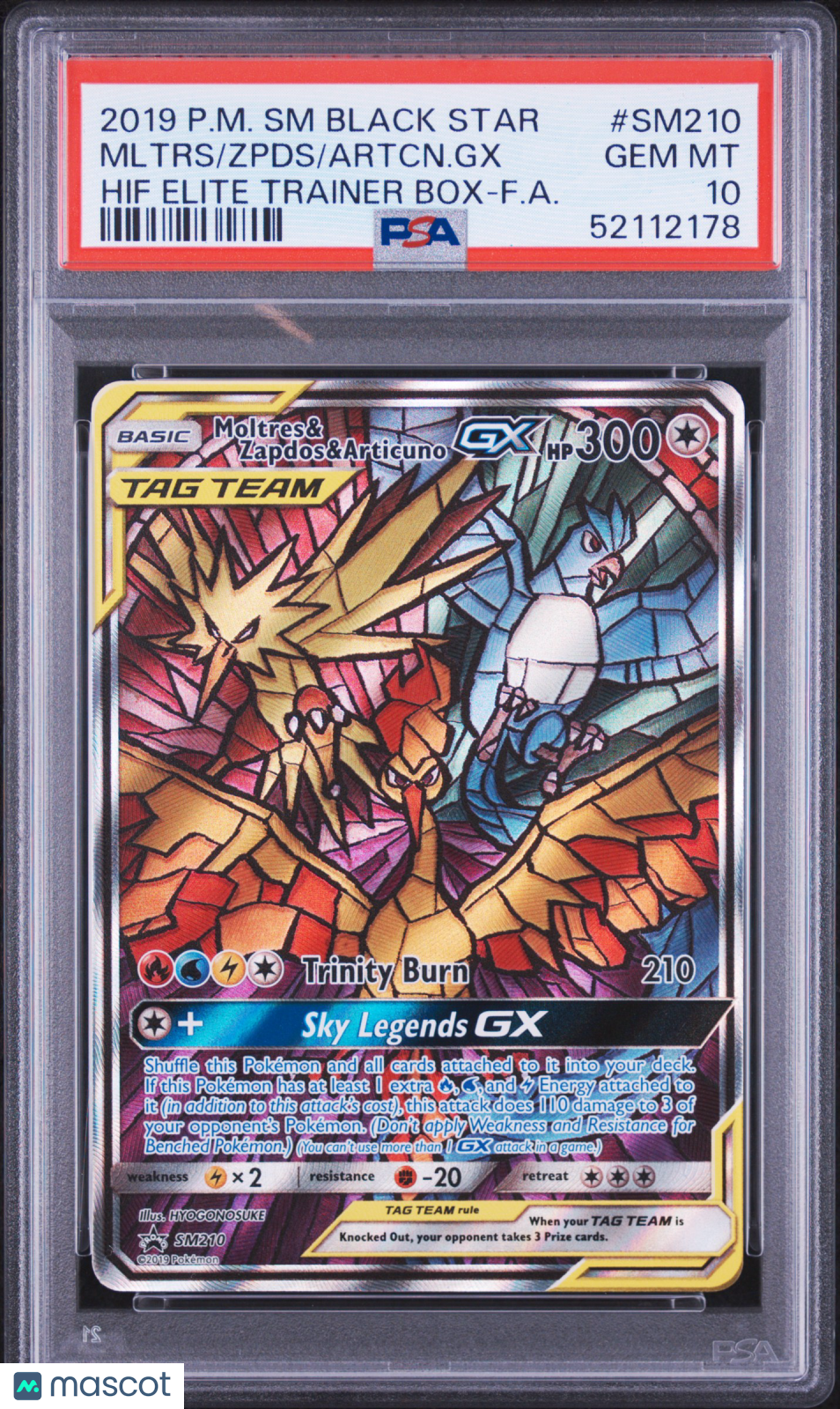 2019 Pokemon SM Black Star Promo Artcn. GX Zpds Mltrs #SM210 Hif Elite Trainer Box-F.A. PSA 10